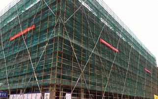 隆力奇栟茶智能化4.0工厂土建工程预计8月竣工，建筑智能化工程开启新篇章